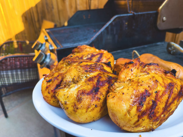 调味烤鸡胸肉户外烧烤食物西科罗拉多烹饪系列照片图片下载