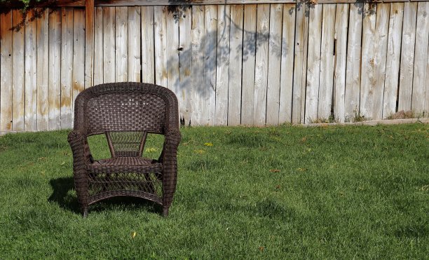 后院的草坪上的椅子图片下载