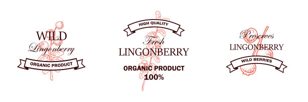 一套手绘越橘标志与树枝与树叶和浆果孤立在白色的背景。矢量插图在素描风格图片下载