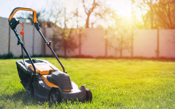 一张现代电动割草机站在房子附近后院草坪上的照片图片下载