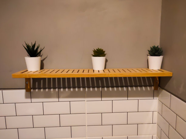 在花盆上种植图片下载