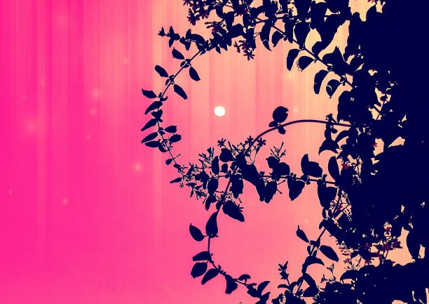 一张月亮穿过树枝的艺术照片图片下载