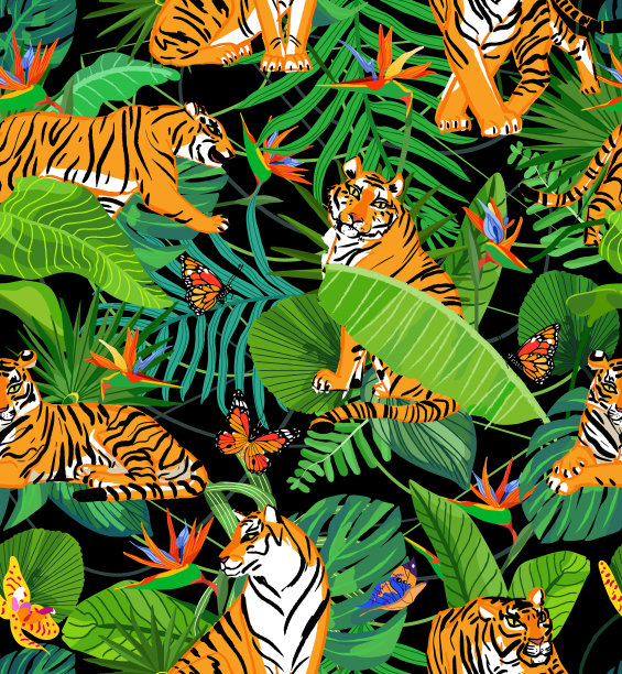 老虎和不同的热带植物，蝴蝶，兰花和天极鸟花在黑色背景无缝彩色图案。图片下载
