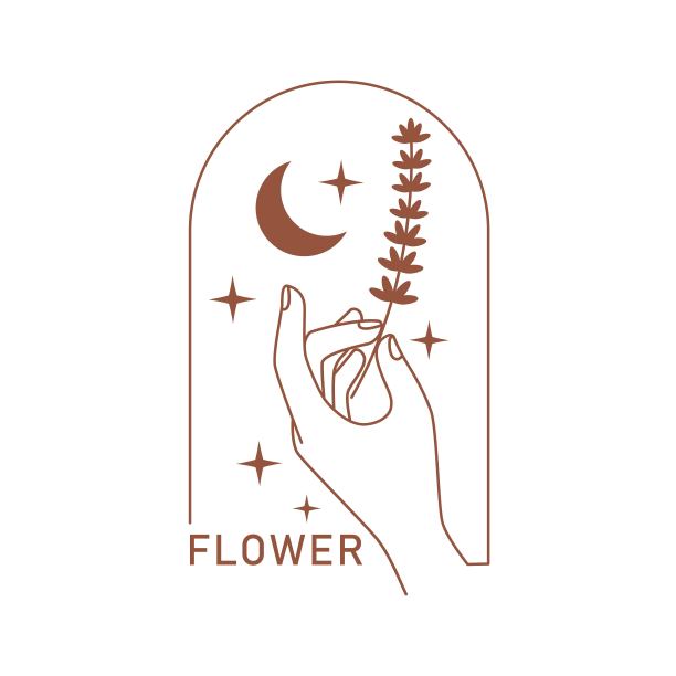 神秘的波西米亚风格优雅的女性手与月亮，星星，植物在线条艺术。矢量魔术符号孤立在白色背景上。图片下载