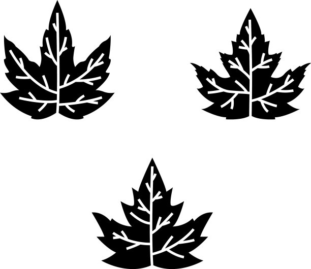 秋天的叶子设置矢量插图图片下载