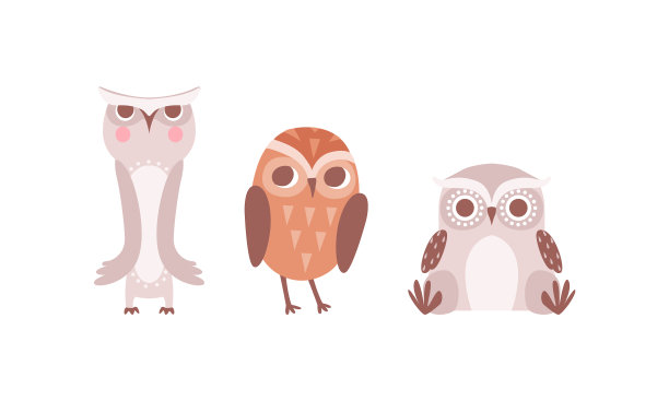 有大眼睛的滑稽猫头鹰，夜间的滑稽鸟图片下载