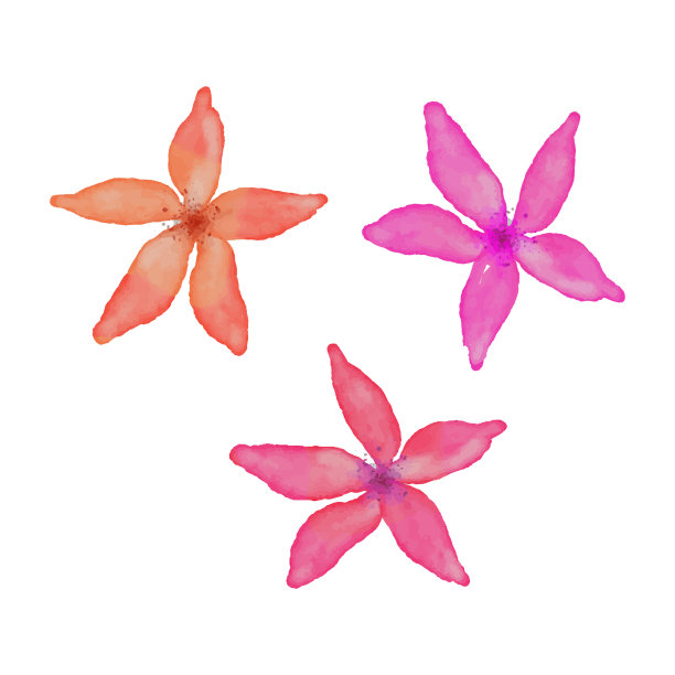 热带的夏天，春天的花粉红紫色和图片下载