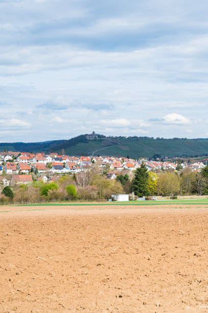 明亮的天空下村庄附近的大片农田图片下载