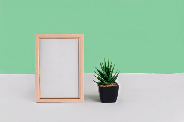 空白白色垂直相框上的绿色背景。图片下载