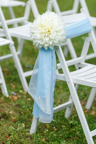婚礼装饰:椅子上有丝带和菊花，许多白色和蓝色的花朵，背景是绿色植物图片下载