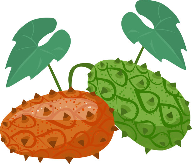 kiwano水果图片下载