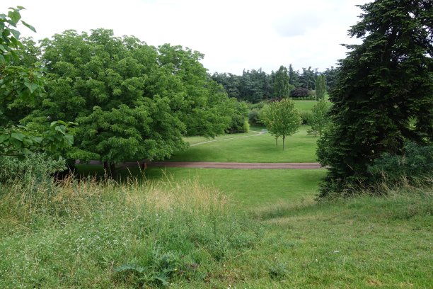 公园里有树木，是春天的季节图片下载