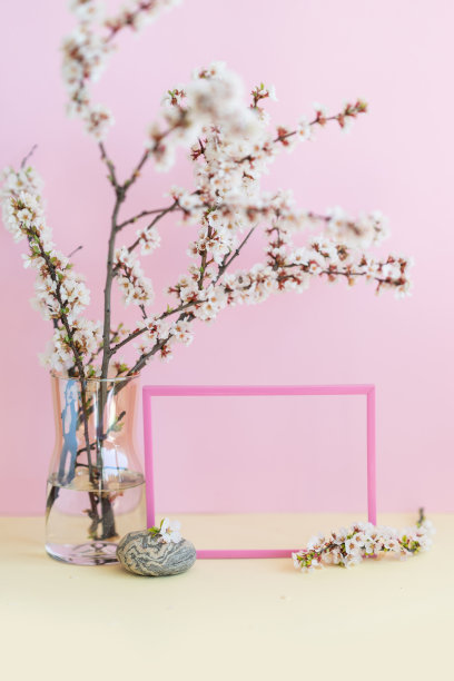 粉红色的相框和玻璃花瓶，一个樱花枝在粉红色的墙上。自然材料的极简组合。图片下载