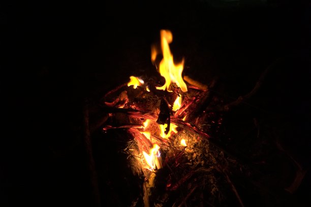 篝火图片下载