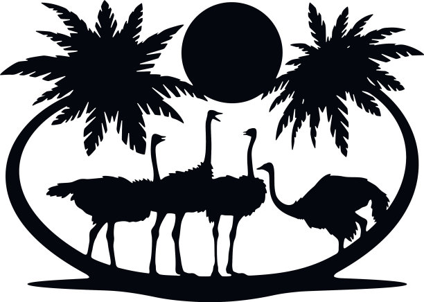 鸵鸟野生动物野生动物模板-森林图片下载