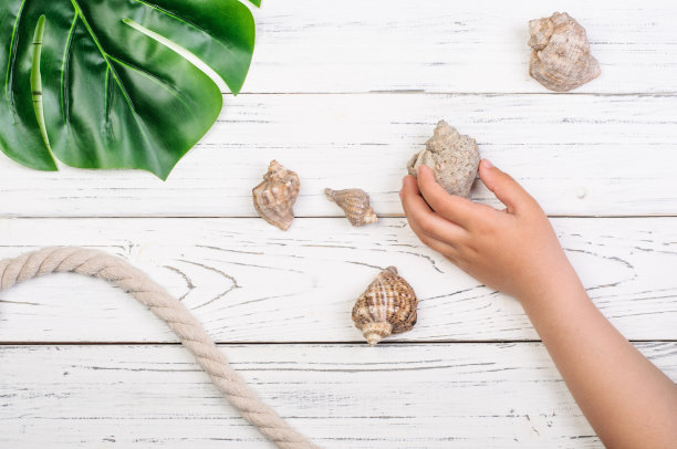 孩子从白色的木桌上拿贝壳图片下载