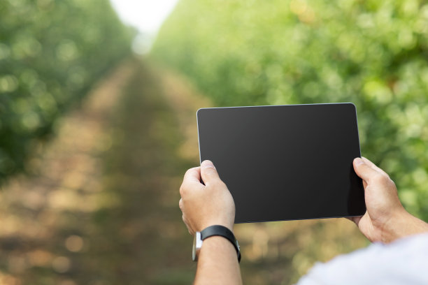 质量控制和检验，数据采集和数字技术图片下载