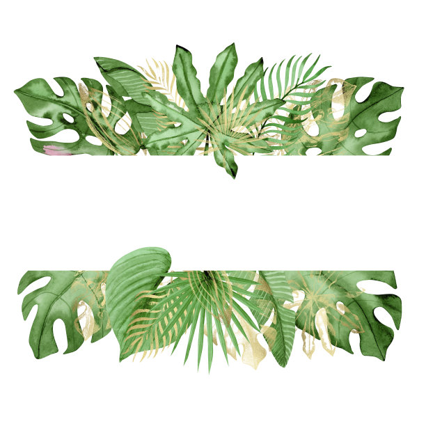 水彩框架边界与绿色和金色的热带树叶孤立在一个白色的背景，手绘。蓬莱蕉,棕榈树叶子。用于婚礼请柬、贺卡等设计思路。图片下载