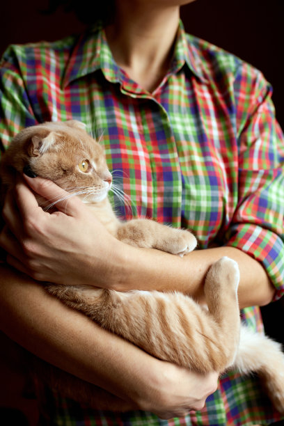 不可思议的年轻女子在家里牵着一只英国猫图片下载