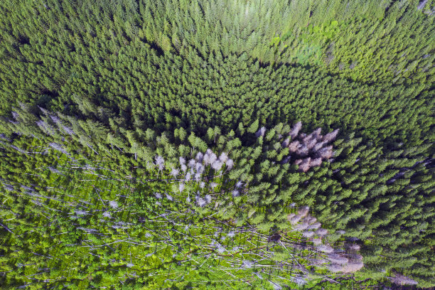 被风吹的感觉图片下载