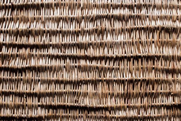 乡村风树枝纹理背景图片下载