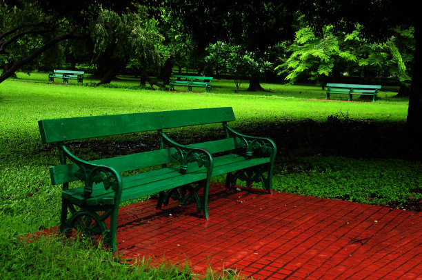 加尔各答市一个公园里的绿色长凳。图片下载