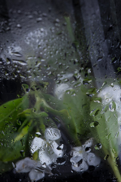 抽象照片的花与玻璃和水泡泡。图片下载