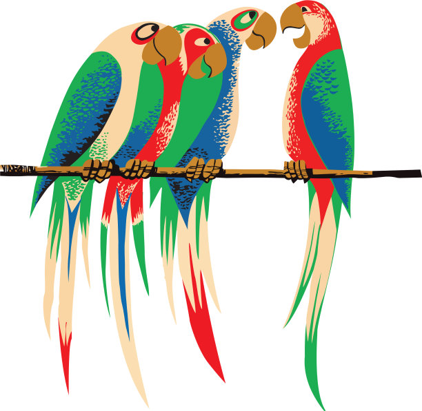 鹦鹉图片下载