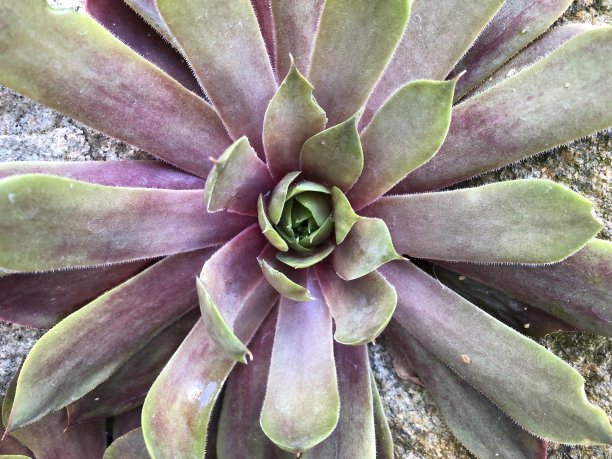 房屋环线形成一个圆圈图片下载