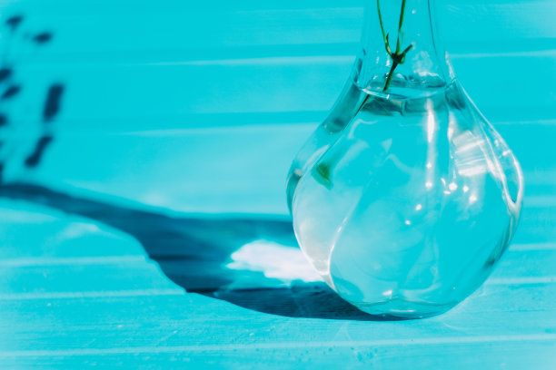 透明花瓶与一朵花在绿松石木制背景在阳光近处，复制空间图片下载