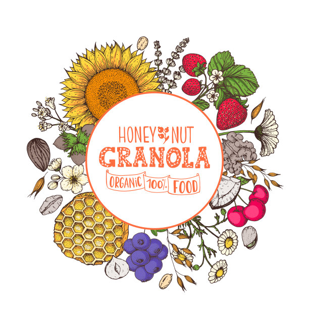 格兰诺拉麦片插图。早餐标签。燕麦片，浆果，水果和坚果。早餐俯视图框架。早餐菜单设计。手绘矢量插图。图片下载