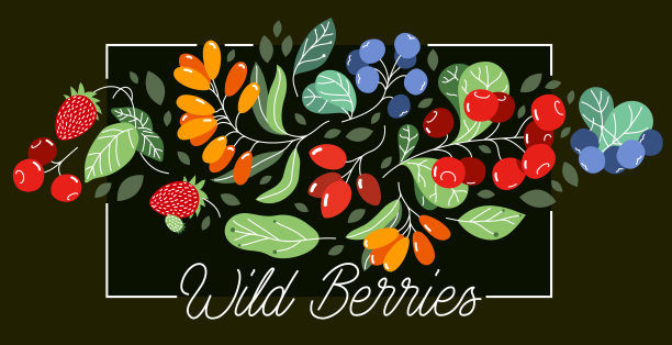 新鲜成熟的野生浆果美味健康的食物载体平面风格插图上的深色背景，美味的植物饮食，有机食品。图片下载