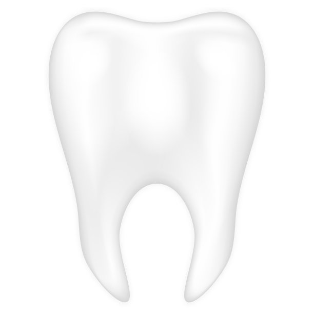 真实的牙齿孤立在白色的背景。牙科保健和卫生概念。矢量插图。图片下载