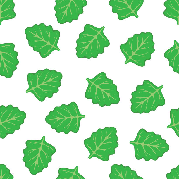 与叶型莴苣无缝搭配，健康食品图片下载