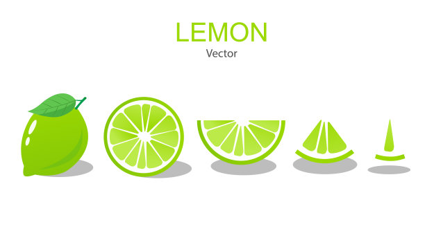 新鲜柠檬水果，向量插图收集图片下载
