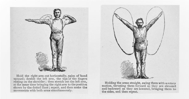 锻炼手臂，系列7中的第4部分图片下载