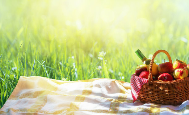 草地上放着一篮子苹果和苹果汁或葡萄酒。带酒和水果篮的户外野餐。图片下载