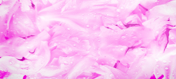 抽象模糊花的垂直背景，花瓣的微距照片，花的白色粉红牡丹。横幅,复制空间,选择聚焦。广告香水，婚礼花店名片设计，请帖图片下载