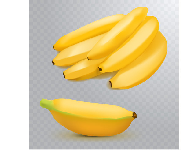 设置现实的香蕉和香蕉图片下载