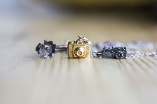 微型照相机和鲜花珠宝饰物图片下载