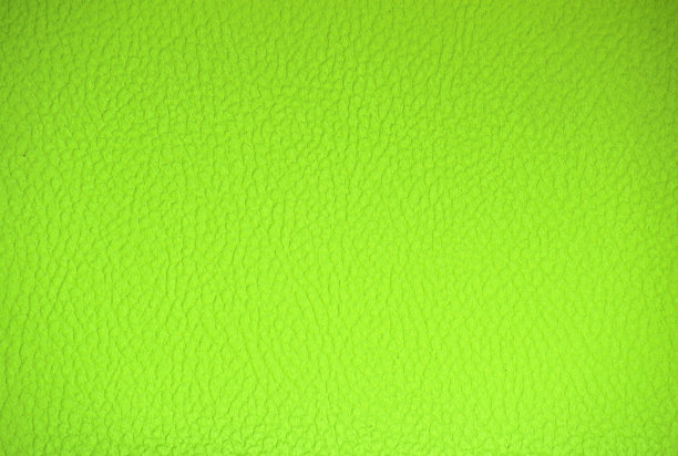 真皮碎片，做工精良，漆成酸性绿色。图片下载