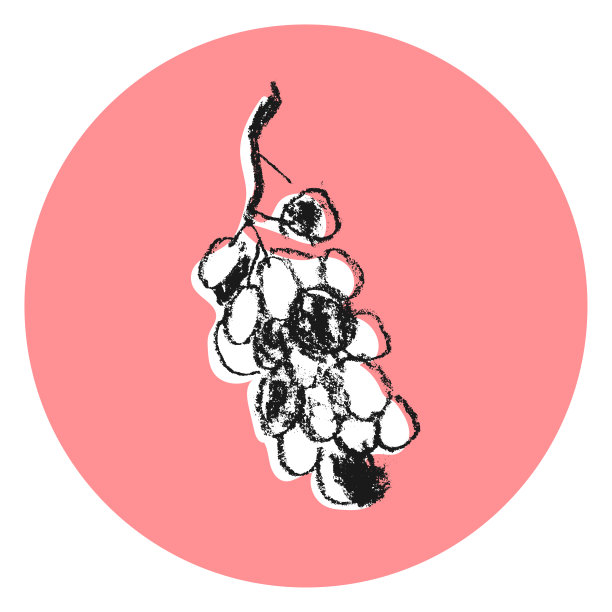 矢量串葡萄圈标志为自制葡萄酒标识、酿酒横幅、有机葡萄酒标签、品酒海报。图片下载