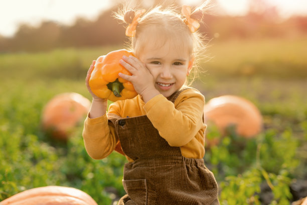 日落时分，一个孩子坐在花园里的一个大南瓜上图片下载