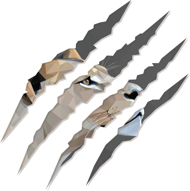 几何形状，低聚，里面有一只母狮的爪印图片下载