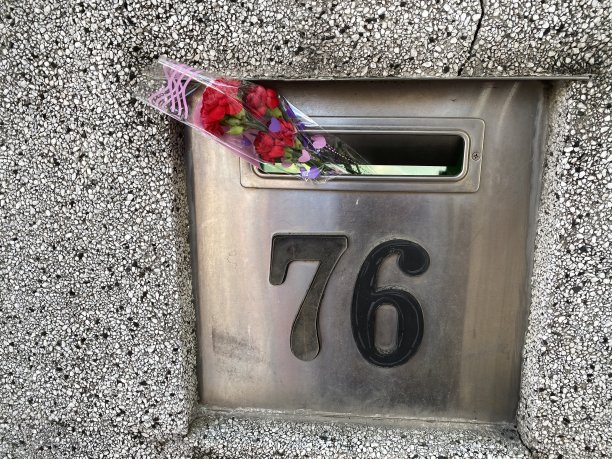 用鲜花表达图片下载