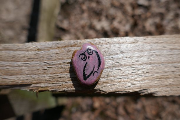 艺术猫头鹰被画在粉色善良的岩石上图片下载