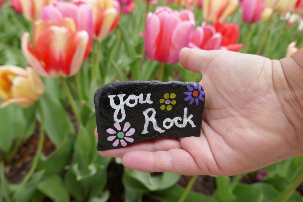 手指着下抱着善良的石头在花园图片下载