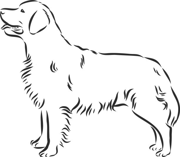 装饰肖像站在侧面的狗图片下载