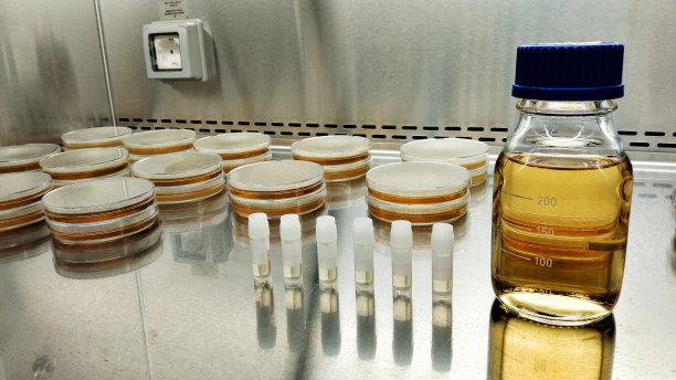 培养皿和液体装瓶。图片下载