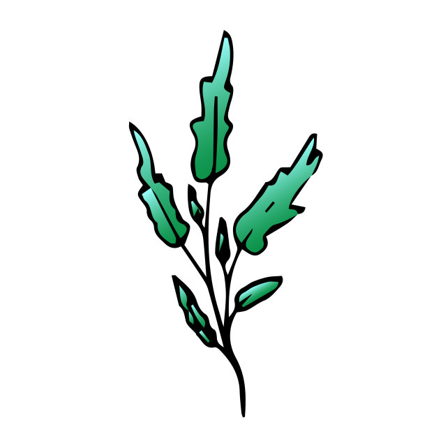 美丽的花，春天的小枝与叶花图片下载